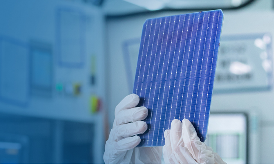 1699435022828982.png image.png