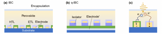 IBC和q-IBC钙钛矿电池结构和工作原理.png