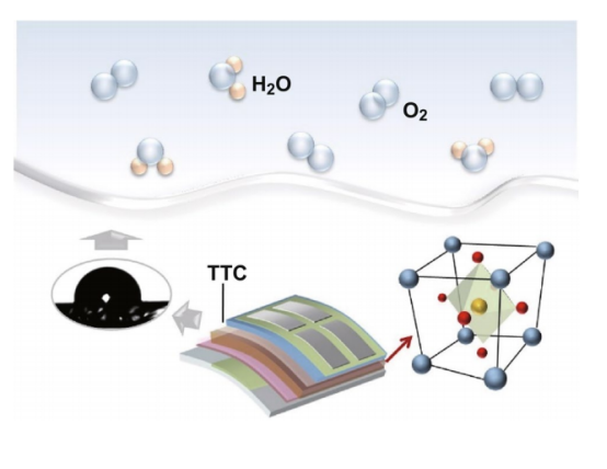 1733801477747312.png image.png