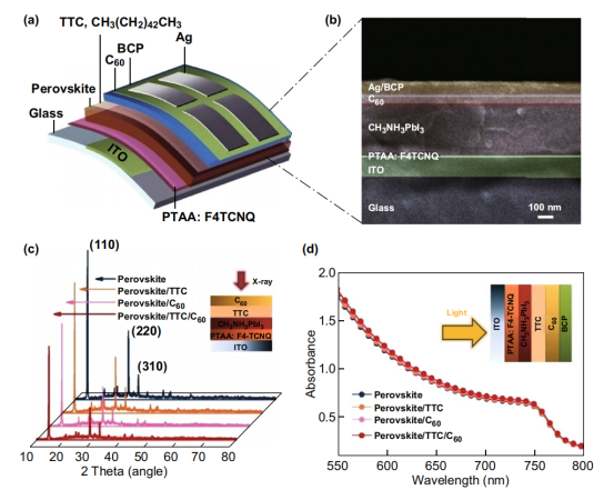 1733801496724150.png image.png