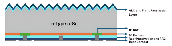  IBC 太阳能电池结构示意图.png