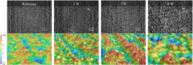 激光共聚焦显微镜图像（俯视图与等距视图）