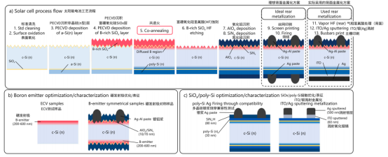 (a) 太阳能电池工艺流程示意图;(b) 硼发射极开发所用样品结构;(c) 多晶硅钝化接触开发所用样品结构