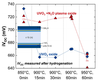 对称SiOₓ/多晶硅样品在两种氧化策略下开路电压随热预算的变化