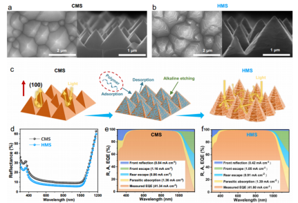 HMS表面减反射机制；a-b：CMS与HMS金字塔SEM图像；c：HMS表面形成机理；d：反射光谱；e-f：CMS与HMS电池光学损失分析；