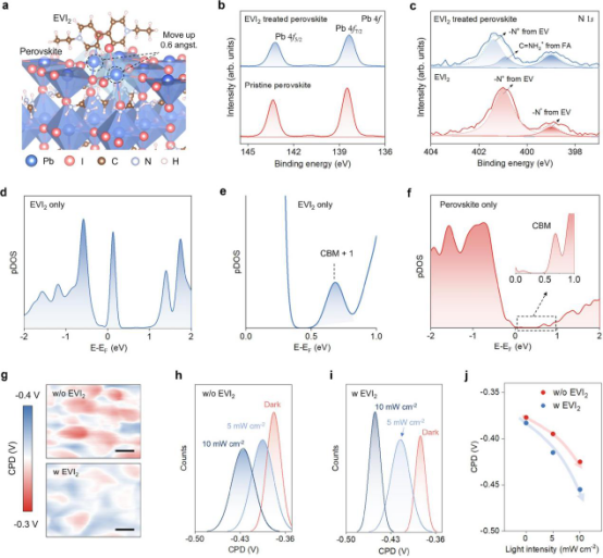 EVI₂与钙钛矿的相互作用
