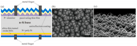 (a) n-TOPCon太阳电池结构示意图；(b) 织构处理后硅片背面的微观形貌；(c) 织构处理后硅片截面的微观形貌
