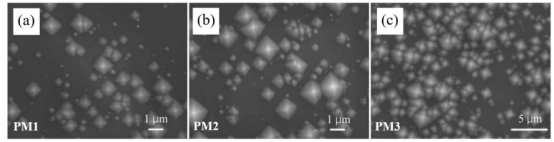 碱抛光+微织构预处理后硅片背面的二次电子像