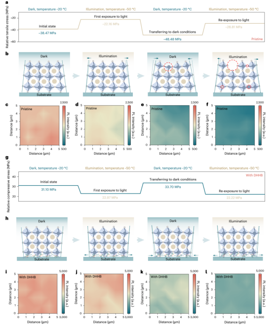 a. 参比钙钛矿在埋入界面处各状态下的应力变化。b. 钙钛矿埋入界面在各状态下晶格状态变化的示意图。红色虚线圆圈表示钙钛矿晶体结构中产生的缺陷，包括离子空位缺陷、离子反位缺陷等。c-f. 参比钙钛矿埋入界面在初始暗态 (c)、首次光照 (d)、转入暗条件 (e) 和再次光照 (f) 条件下的PL mapping图。统计PL强度标尺范围为500至2,500。g. DHHB修饰钙钛矿在埋入界面处各状态下的应力变化。h. DHHB修饰钙钛矿埋入界面在各状态下晶格状态变化的示意图。i-l. DHHB修饰钙钛矿埋入界面在初始暗态 (i)首次光照 (j)转入暗条件 (k) 和再次光照 (l) 条件下的PL mapping图。