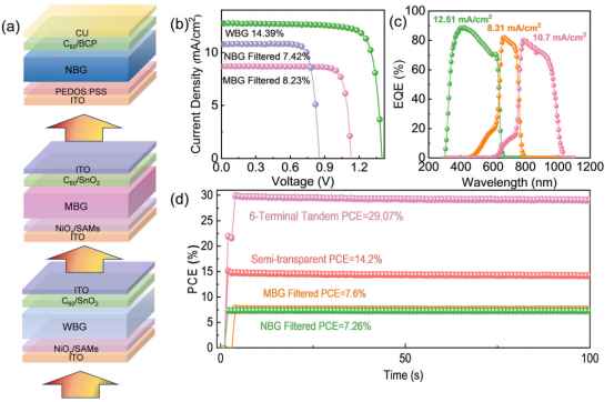 (a)TSCs的电池结构；(b)WBG、MBG和NBG钙钛矿太阳能电池的J-V 曲线；(c)EQE光谱；(d)稳态功率输出