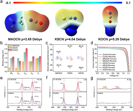 (a) MAOCN、KSCN和KOCN分子的静电势分布及相应偶极矩(b) 添加剂与（110）晶面缺陷的结合能(c) 添加剂的静电势(d) 不同添加剂处理电池的J-V曲线(e-g) 对照和KOCN掺杂钙钛矿薄膜的XPS谱图：(e) Pb 4f, (f) I 3d, (g) K 2p