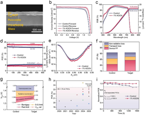 (a)宽禁带钙钛矿太阳能电池的截面SEM图像；对照和1% KOCN掺杂最优电池：(b)在正反扫下的J-V曲线(c)外量子效率及相应积分电流密度(d)稳态功率输出和光电流(e)陷阱态密度分布(f)填充因子损失机制示意图(g)细开路电压损失分析；(h) 2020年-2025年报道的1.65–1.70 eV带隙钙钛矿电池效率统计；(i)-未封装电池在充满N₂的手套箱中存储时的效率变化
