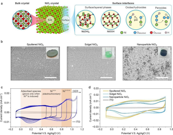 (a) NiOₓ表面结构与物种示意图(b)不同NiOₓ薄膜前驱体的照片及对应的SEM图像，(c)纳米颗粒NiOₓ薄膜的连续循环伏安扫描图(d)不同类型NiOₓ的循环伏安扫描对比