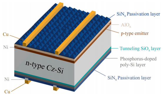 具有Ni/Cu金属化电极的TOPCon电池结构
