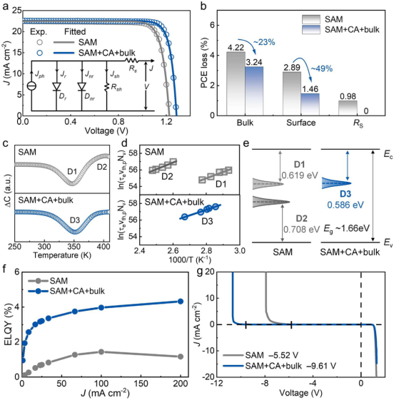 (a) 实验J-V曲线（圆圈）及其使用修正细致平衡模型（插图）的拟合曲线（实线）；(b) 从J-V拟合中得到的PCE损失分解；(c-e) DLTS缺陷分析；(f)ELQY测量结果；(g)反向击穿电压测量结果