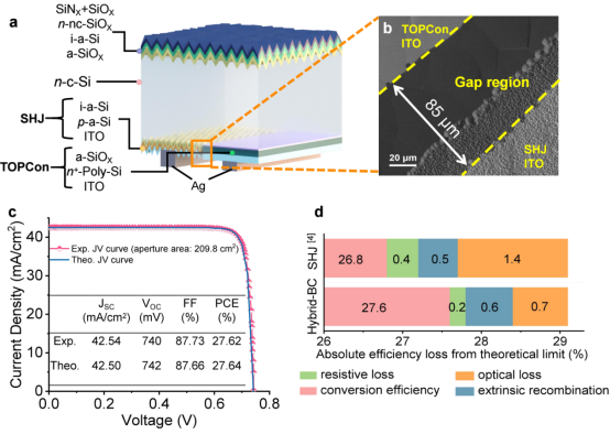 (a)混合BC太阳能电池结构示意图。(b)扫描电子显微镜图像。(c)测量电流-电压特性以及理论计算结果。(d) SHJ太阳能电池与本工作中混合BC太阳能电池相对于理论极限的绝对效率损失
