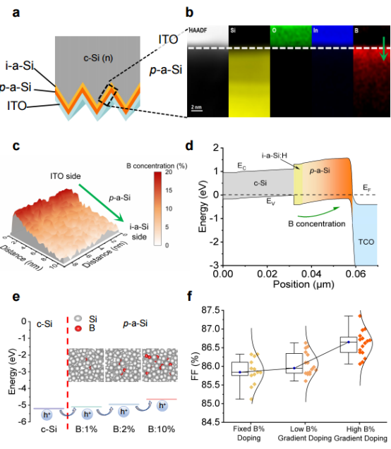 (a)混合BC电池中作为p型接触层的SHJ衍生结构。(b,c) p型接触层的电子能量损失谱，以及p-a-Si层中从ITO侧到i-a-Si侧的梯度硼掺杂浓度空间分布。(d,e) 从器件模拟和第一性原理计算获得的p型接触层中的能带弯曲，以及梯度硼掺杂诱导的p-a-Si层价带顶工程，用于增强空穴输运。(f) 通过p-a-Si层梯度硼掺杂实现填充因子提升的实验验证