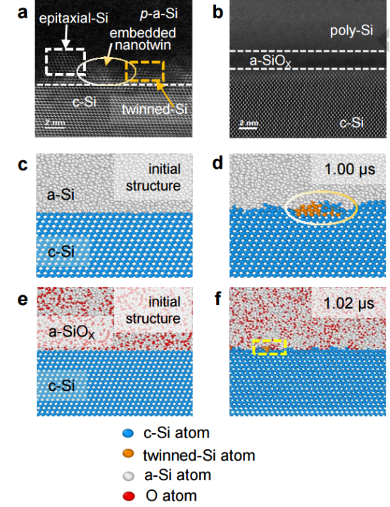 (a) 高角环形暗场扫描透射电子显微镜图像显示i-a-Si/c-Si界面处的外延硅和孪晶硅缺陷。(b) HAADF-STEM图像呈现光滑的i-a-SiOX/c-Si界面形貌。(c, d) i-a-Si/c-Si界面的初始结构以及微秒尺度分子动力学模拟后产生外延硅和孪晶硅缺陷的结构。(e, f) a-SiOX/c-Si界面的初始结构以及微秒尺度分子动力学模拟后保持光滑的界面形貌