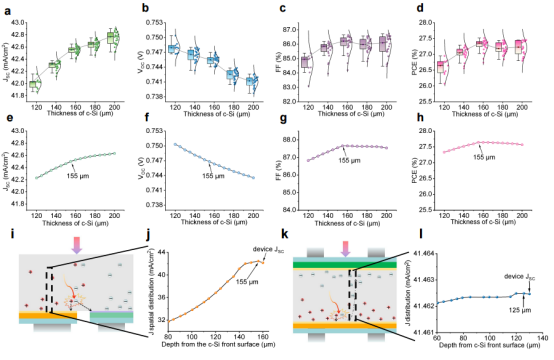 (a-d)实验测量的混合BC电池JSC、VOC、FF和效率随c-Si厚度的变化。(e-h)器件模拟结果显示混合BC电池JSC、VOC、FF和效率随c-Si厚度的变化。(i, k) 混合BC电池与SHJ电池的载流子输运路径对比。(j, l) 混合BC电池与SHJ电池的电流密度分布随c-Si厚度的变化对比