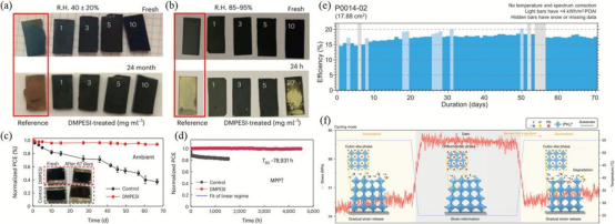 通过锍基分子处理、石墨烯-聚合物界面增强、混合自组装单分子层、芳香族膦酸及苯基硒氯等策略，全面提升钙钛矿电池在户外工况下的稳定性