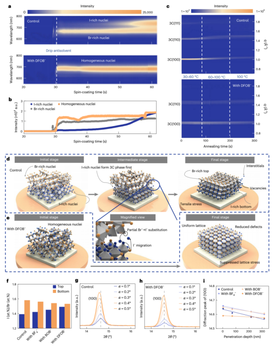 （a）对照与 DFOB⁻ 修饰薄膜在旋涂过程中的原位 PL 光谱演变（b）对应于 (a) 中富 Br（~665 nm）和富 I（~730 nm）发射的 PL 强度随时间变化曲线（c）对照与 DFOB⁻ 修饰薄膜在退火过程中的原位 GIWAXS 谱图（d）对照薄膜的结晶过程示意图：初始阶段（Br 富集于表面，I 富集体相）、中间阶段（卤化物迁移）、最终阶段（垂直梯度与应力）（e）DFOB⁻ 修饰薄膜的结晶过程示意图：初始阶段（均质成核）、直接生长、最终阶段（均匀成分，低缺陷，低应力）（f）对照与 DFOB⁻ 修饰 WBG 钙钛矿薄膜顶部和底部表面的 EDS 导出 I/Br 原子比（g- h）对照 (g) 和 DFOB⁻ 处理 (h) 钙钛矿薄膜在不同入射角下的 GIWAXS (100) 线切割图（i）由不同入射角 GIWAXS 得出的 (100) 衍射峰随穿透深度的变化