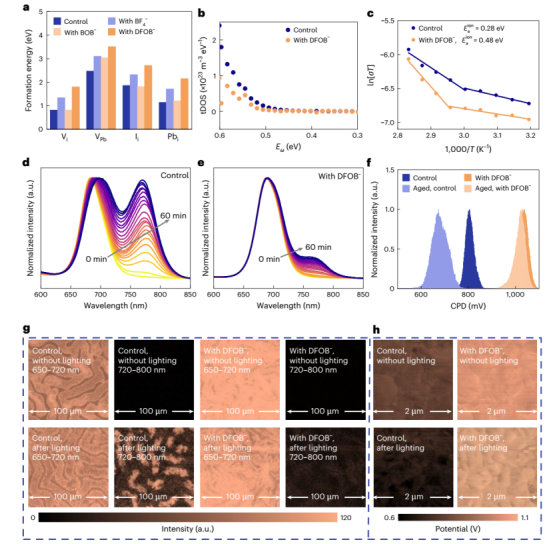（a）不同钙钛矿薄膜中 VI、VPb、Ii和 Pbi的理论形成能（b）陷阱态密度（tDOS）（c）逃逸频率的阿伦尼乌斯图，对照 (d) 和 DFOB⁻ 修饰 (e) 钙钛矿薄膜在 1 个太阳光照下暴露 60 分钟过程中的 PL 光谱（f）通过 KPFM 获得的对照和 DFOB⁻ 修饰薄膜的接触电势差（CPD）直方图（g）对照和 DFOB⁻ 修饰薄膜在光照前后的 PL 强度面分布图（5 μm × 5 μm）（h）对照和 DFOB⁻ 修饰薄膜在光照前后的 CPD 面分布图