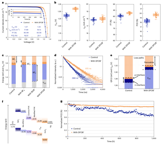 （a）冠军 WBG PSC 的 J–V 曲线（b）45个独立 WBG PSC 器件的光伏参数统计（PCE、VOC、FF、JSC）（c）导致 V_OC 低于理论极限的各损失项贡献（d）钙钛矿薄膜的时间分辨 PL 光谱（e）从有无电子和空穴传输层的钙钛矿薄膜 PL 光谱中提取的准费米能级分裂（QFLS）和 VOC 值（f）PSC 的能级示意图。PVK：钙钛矿。（g）对照器件与 DFOB⁻ 处理器件在 ISOS L-1 协议下（25 ± 2°C）连续 MPP 追踪的归一化 PCE 演化曲线