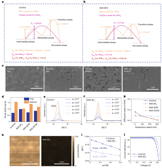 对照NBG钙钛矿 (a) 和含 BF₄⁻ 的 NBG 钙钛矿 (b) 在钙钛矿形成过程中脱附与相变的能垒(c）相应 NBG 钙钛矿薄膜的表面和底部 SEM 图像(d)相应 NBG 钙钛矿薄膜顶部和底部表面的 EDS 导出 Pb/Sn 原子比。对照 (e) 和 BF₄⁻ 处理 (f) 钙钛矿薄膜在不同入射角下的 GIWAXS (100) 线切割图(g)由 GIWAXS 得出的 (100) 衍射峰随穿透深度的变化(h)相应 NBG 钙钛矿薄膜的 KPFM 图（表面电势）。(i)由 GIXRD 测得的相应 NBG 钙钛矿薄膜的 2θ–sin²(ψ) 线性拟合（用于应力分析）(j)冠军 NBG PSC 的 J–V 曲线