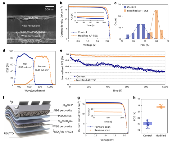 (a)器件的横截面 SEM 图像。(b)无修饰与有修饰（WBG 加 DFOB，NBG 加 BF₄⁻）的 AP-TSC 正向扫描 J–V 曲线，插图为 SPO 曲线。(c)40 个独立器件的 PCE 统计直方图。(d)底电池和顶电池的 EQE 光谱。(e）对照器件与修饰器件在 ISOS L-1 协议下（25 ± 2°C）的 MPP 追踪。(f）柔性 AP-TSC 的器件结构示意图。(g）冠军柔性 AP-TSC 有无修饰的正向和反向扫描 J–V 曲线，插图为 SPO 曲线。(h）40 个柔性 AP-TSC 器件的 PCE 正态分布箱线图