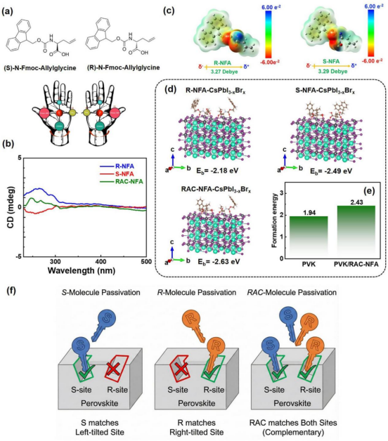 (a) 手性NFA分子的化学结构。(b) SNFA、RNFA和RACNFA在乙醇溶液中的圆二色光谱。(c) ESP分布图。(d) 通过DFT计算的RNFA、SNFA和RACNFA与钙钛矿的结合能。(e) 未修饰与RACNFA修饰情况下碘空位（Vᵢ）的缺陷形成能。(f) “锁钥”立体选择性钝化机制示意图
